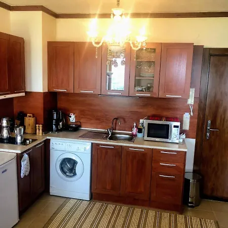 公寓 St Ivan Bansko Residence - 1Bds Suite Panoramic Mountain View 班斯科